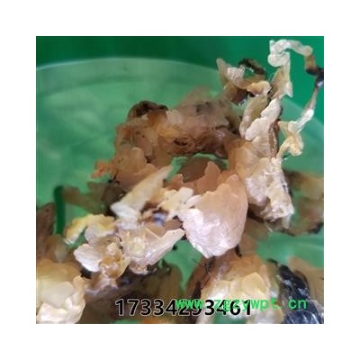 林蛙 林蛙油 统货