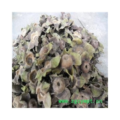 柿蒂 统货 产地 四川省成都市双流县 库存 500千克可售