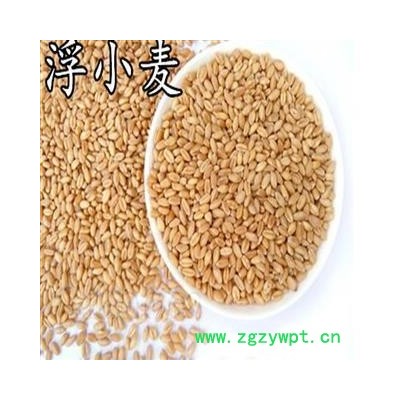 浮小麦 浮小麦净货 产地 河北省 安顺药业 专注品质 产地 安徽省