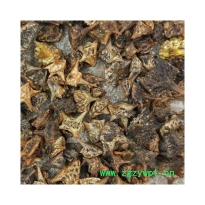 蒺藜 炒蒺藜 无虫蛀无霉变 地道药材良心药材  产地 河北省