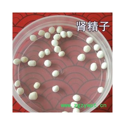 肾精子  结石 猪肾精子