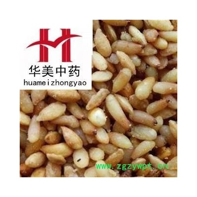 柏子仁 统货 产地 山东省 华美中药 产地直销 重在品质