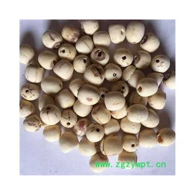 莲子 湖南湖北空心磨皮白莲子95货 纯干货 今年新货 产地 湖南省