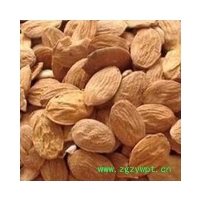 桃仁 扁桃仁选货 个头饱满  白茬  产地 山东省