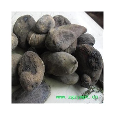 五倍子 统 产地 四川省成都市双流县