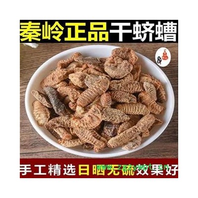 秦岭天然蛴螬白土蚕老母虫 日晒干净无硫250g