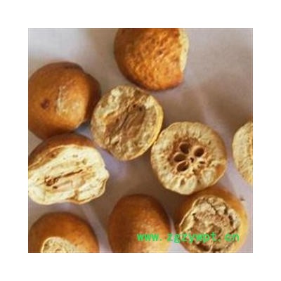 川楝子 统 产地 四川省