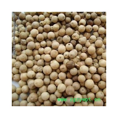 白胡椒 今年新货 无虫蛀无霉变 味道浓郁  产地 海南省