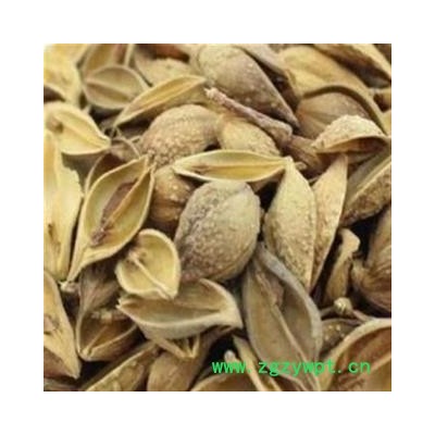 黄翘  老翘（黄翘）选货 过0.6筛以上  产地 山西省