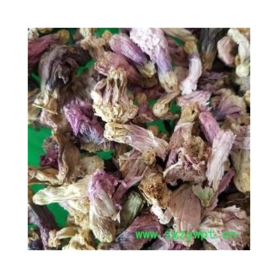蜀季花  别称-蜀葵花 一丈红 大蜀季 戎葵 吴葵 卫足葵 胡葵 斗蓬花 秫秸