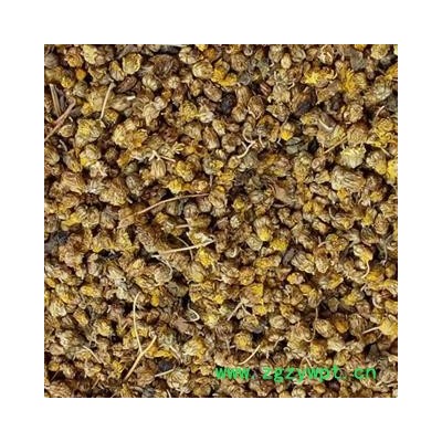 野菊花 野菊花统货 产地 湖南省