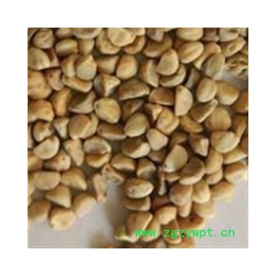 白丑 牵牛子白丑统货 产地 山东省