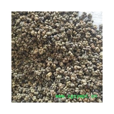 吴茱萸 吴茱萸 中花 气味浓 产地 江西省