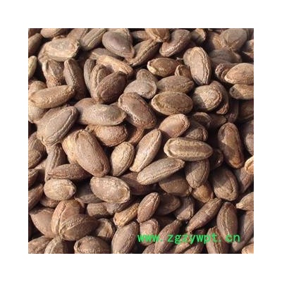 瓜蒌子 单边瓜蒌子选货