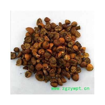 川楝子 川楝子 炒川楝子 精品地道药材  产地 四川省