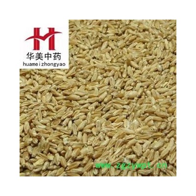 浮小麦 浮小麦净货 产地 河南省 华美中药 产地直销 重在品质