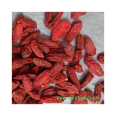 枸杞 宁夏枸杞280 产地直销产地 宁夏回族自治区