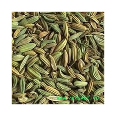 小茴香 好统  小茴 产地 广西壮族自治区