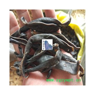 水蛭 蚂蟥 清水吊杆水蛭 纯干货 大条 国峰药业 重在品质 产地 江苏省