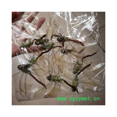 瑞森药材行蜻蜓 绿蜻蜓大个完整实物拍照今年新货
