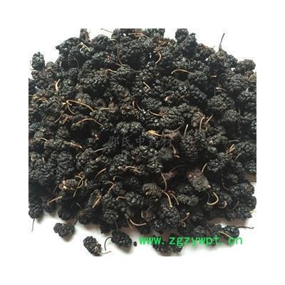 精选茶用桑葚子 纯净无添加 果实完整 批发各种中药材