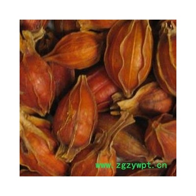 栀子 栀子 精选福建栀子 今年新货 颜色红 无虫蛀无霉变 主流统货 产地 福建省