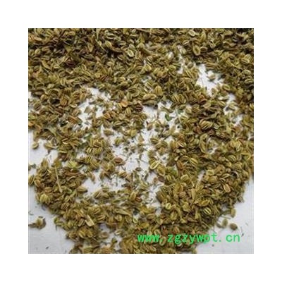 蛇床子 蛇床子净货 颜色新鲜 新货上市 正品蛇床子产地 内蒙古自治区