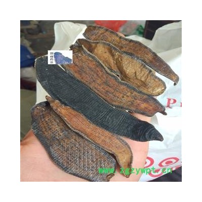 水蛭 蚂蟥 盐水 大长条 颜色好 全干 国峰药业 重在品质 产地 江苏省