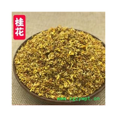 桂花 精选桂花茶 原色无熏硫  产地 广西壮族自治区