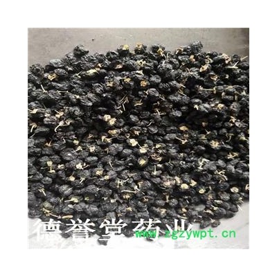 德誉堂药业 黑枸杞 大颗粒 黑枸杞 各种规格