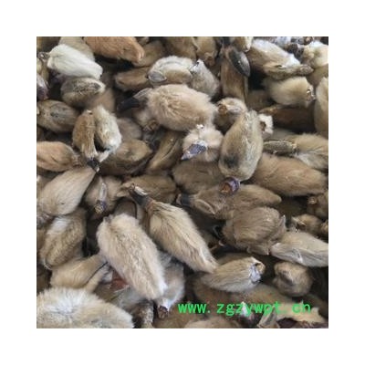 精品选装辛夷 辛夷花 个大 完整 柄子少 新店上线价格低规格齐全