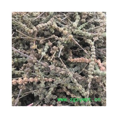 荆芥穗 荆芥穗选货 纯青 新货 气味大 低价冲销量产地 河北省