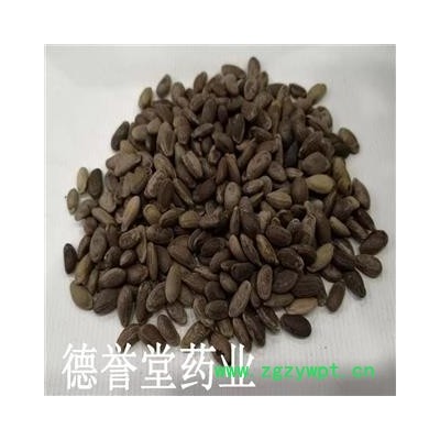 瓜蒌子 选 瓜蒌子 产地 安徽 德誉堂药业批发各种中药材