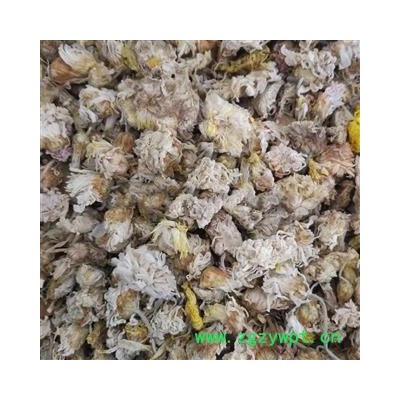 菊花 精品菊花 新货颜色好 有大货 新店上线 价格低 规格齐全 产地 河北省