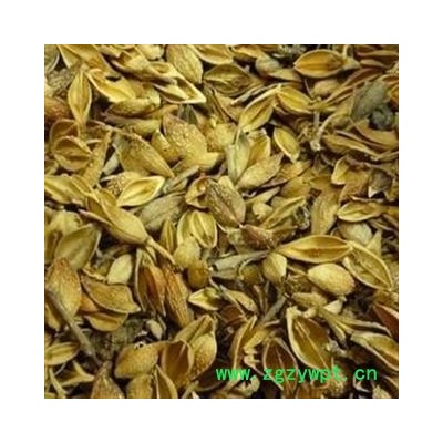 黄翘 统 老翘 黄连翘  本店批发各种中药材 产地 山西省运城市绛县