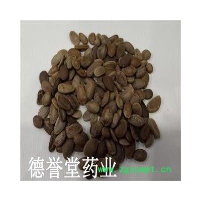 瓜蒌仁 瓜蒌籽 大瓜蒌子 产地 河北省 德誉堂批发各种中药材