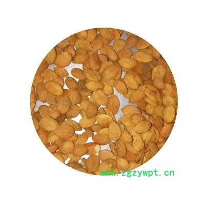 桃仁 家桃仁 选 产地 山东省 德誉堂药业批发各种中药材