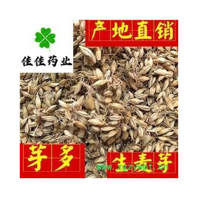 生麦芽 麦芽选货 芽多 供应各种中药材 产地 山东省