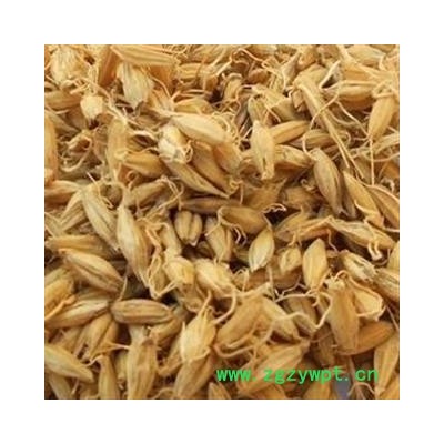 麦芽 万信药业！粒粒发芽 生麦芽 全部有芽 产地 河南省