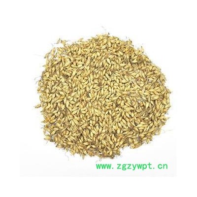 麦芽 麦芽统货 产地 山东省