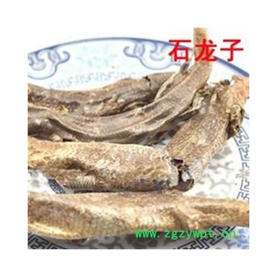 石龙子 统 产地 广西壮族自治区钦州市市辖区