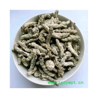 产地直销 僵蚕 炒僵蚕【广生堂中药材】批发零售中药材僵蚕500g大货批发