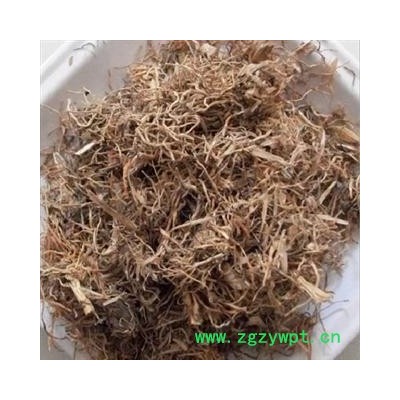 糯米根 产地 安徽省亳州市谯城区