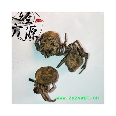 黑蜘蛛 统 产地 云南省