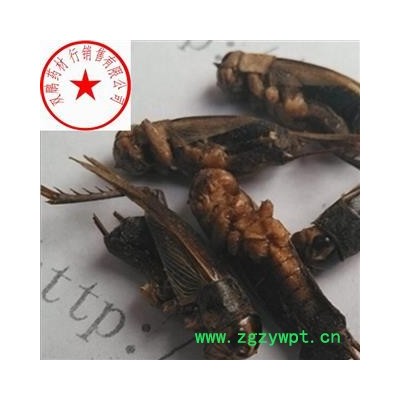 蟋蟀 蛐蛐、夜鸣虫（因为它在夜晚鸣叫）、将军虫、秋虫、斗鸡、促织、趋织、地喇叭、灶鸡子、孙旺，土蜇 统 产地 安徽省