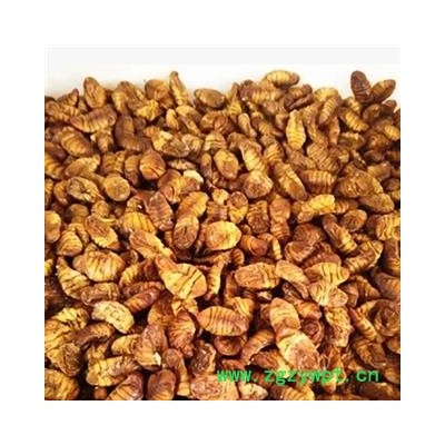 蚕蛹 蚕茧 蚕蜕 晚蚕砂 药用 统 产地 江苏省南通市市辖区