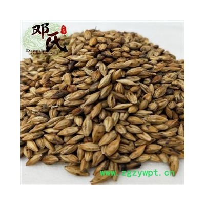 【满包邮】大麦茶 选货 优选品质 产地直供 邓氏尚品中药批发