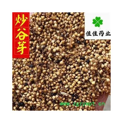 谷芽 炒谷芽 质量高 产地直销 产地 山东省