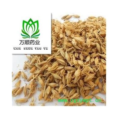 精品生麦芽选货 质量好 价格低  产地 山东省