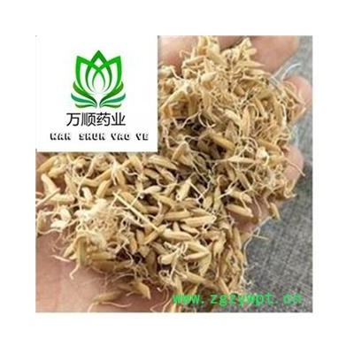 稻芽选货 质量好 价格低  产地直销 产地 山东省